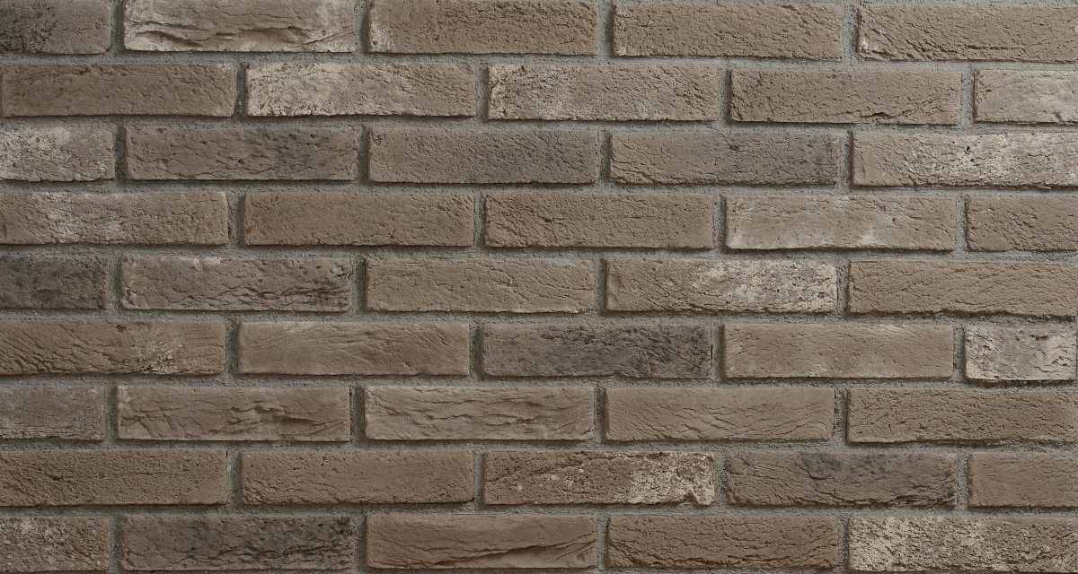 Thin Brick Arena — Kültür Tuğlası